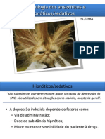 Ansiolíticos Hipnoticos e Sedativos.pdf