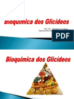 BIOQUÍMICA DOS CARBOIDRATOS.pdf