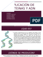 Duplicación de Proteinas y Adn