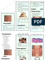 DERMATITIS Dari Hironimus