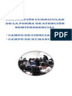 Concrecion Campos PDF