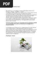 Download Definicin de Ecopedagoga by hope SN333221792 doc pdf
