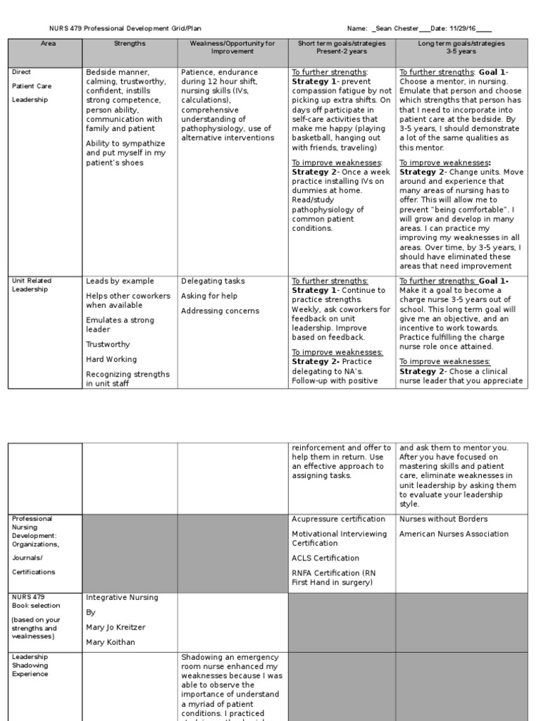Nurs479 Professional Development Grid | PDF | Nursing | Leadership