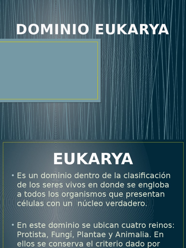 Eukarya: Reinos y Características | PDF | Eucariotas | Plantas
