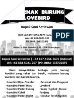 WA +62 888-5021-207 - Peternak Burung Lovebird Di Surabaya, Ternak Lovebird Indonesia PDF