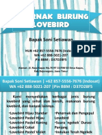 WA +62 888-5021-207 - Peternak Burung Lovebird Jombang, Peternak Lovebird Juara PDF