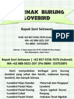WA +62 888-5021-207 - Peternak Burung Lovebird Surabaya, Peternak Lovebird Lomba PDF