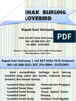 WA +62 888-5021-207 - Peternak Lovebird Biola, Peternak Lovebird Violet PDF