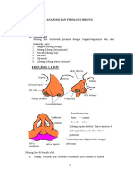 Anatomi Fisiologi Hidung