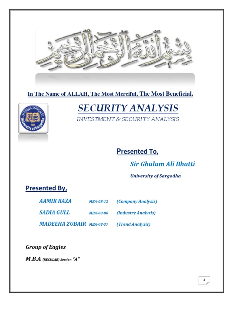Investment & Security Analysis | PDF | Cash Flow Statement | Balance Sheet