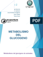 Metabolismo Del Glucogeno, UNEVT