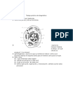 Trabajo Practico de Diagnostico 2016