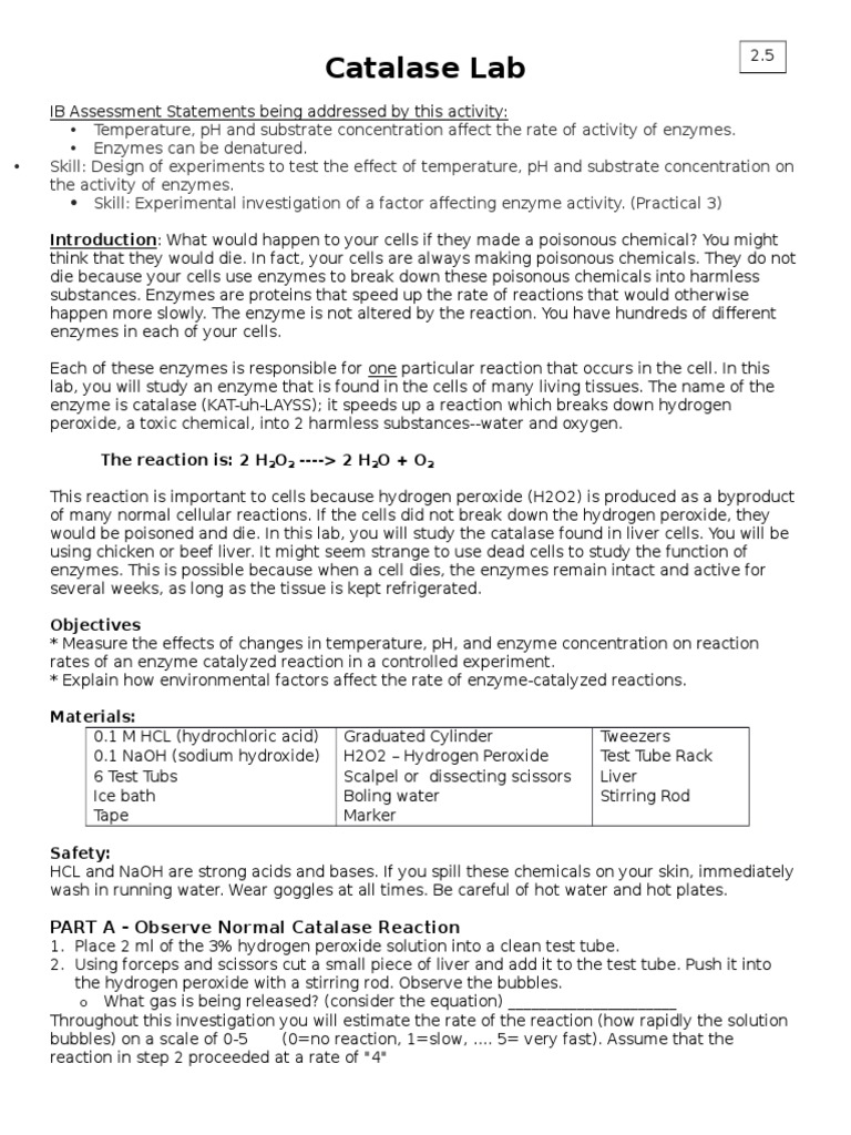 4 t2.5 Comp Enzymes | PDF | Catalase | Enzyme