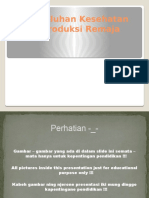 Penyuluhan Kesehatan Reproduksi Remaja