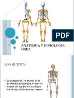 Anatomia y Fisiologia Osea