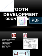 8 DEC 2014 Pre Natal Teeth Dev (Autosaved)