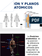 Posicion Anatomica UNIDAD II