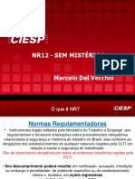 ciesp_nr_12.pdf