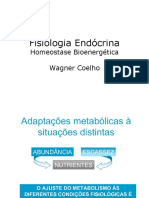 001homeostage BionergéticaWagner