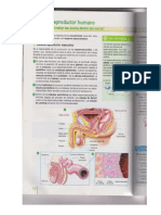 Lectura Sistema Reproductor Humano PDF