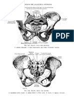 Tratado de Anatomia Humana Quiroz Tomo I - 172 PDF