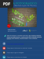 Guia Fotográfico Para Identificação de Plantas Efloraweb