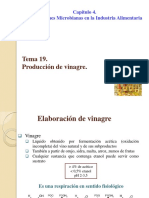 Tema 19 Produccion de Vinagre PDF