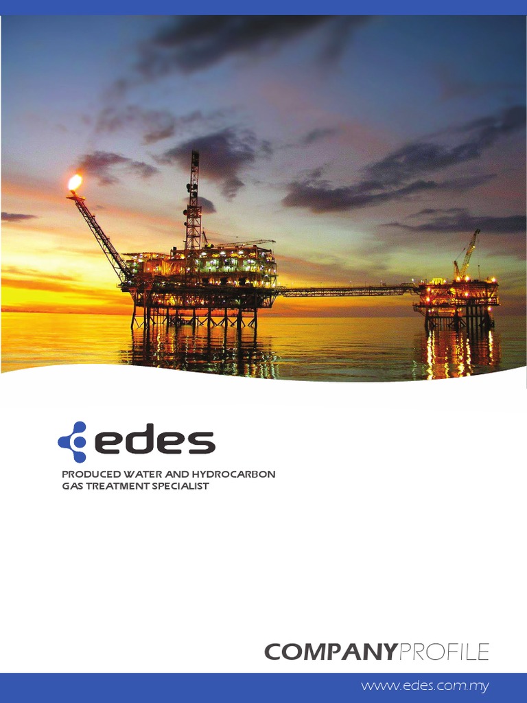 Engineering Services for Oil & Gas | PDF | Natural Gas | Heat Exchanger