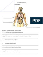 5 Basico Prueba de Ciencias Naturales - Unidad a Niveles de Organizacion