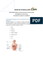 Proceso Fisiológico de La Alimentación en El Sistema Digestivo