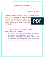 MEANING OF PROJECT.doc