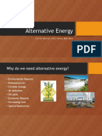 Alternative Energy Group