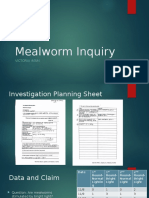 Mealworm Inquiry