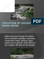 Pollution of Golden River Girón