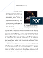 Sleep Paralysis PDF