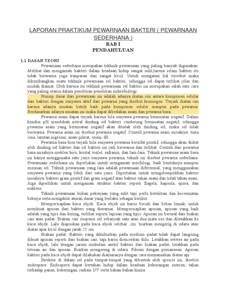 Laporan Praktikum Pewarnaan Bakteri | PDF