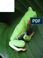 Costa Rican Frog.pdf