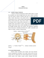 Trauma Medulla Spinalis Lay