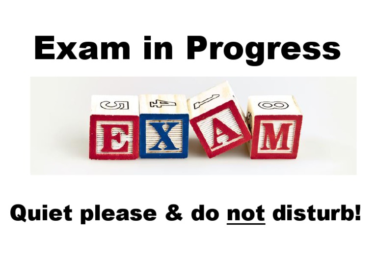 Exam in Progress: Do Not Disturb | PDF