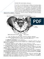 Tratado de Anatomia Humana Quiroz Tomo I - 174 PDF