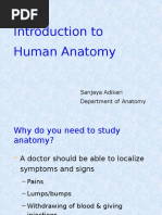 Clinical kinesiology and anatomy worksheets