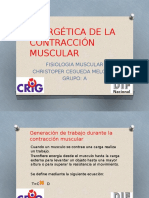 Energética de La Contracción Muscular Cristofer Fisiologia