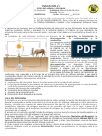 Taller N°3 - Ciclo Del Carbono y Nitrogeno