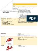 Aorta and Ilia Artery Modulo 1