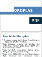 Kloroplas 1