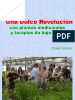 Plantas Dulce Revolucion