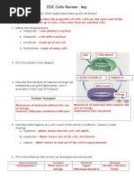 eoc cells review key