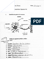 nervioso 1  06-dic-2016  11-03-45