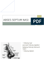 Abses Septum Nasi