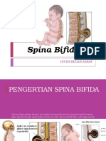 Spina Bifida